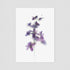 Purple Orchids Postcard